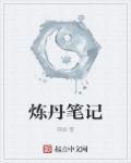 炼丹排行榜完本书