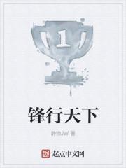 锋行天下应援包