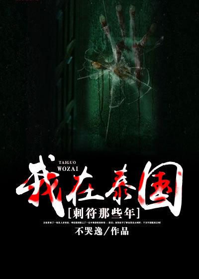 我在泰国刺符那些年 有声