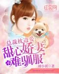 总裁枕上甜妻免费阅读