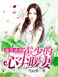 盛爱成婚霍少的心尖暖妻TXT