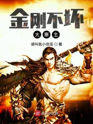 金刚不坏大寨主无防盗