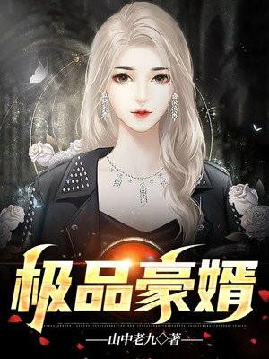 超品豪婿