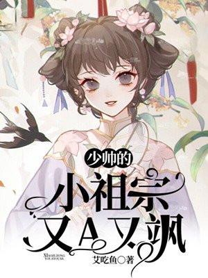 少帅的宝贝妻