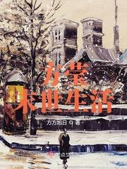 方莹末世生活评价