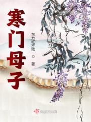 寒门母子txt