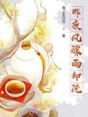 昨夜雨疏风骤时间