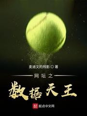数据网球