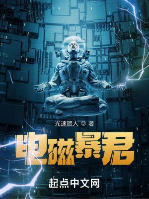 电磁暴君飞阅读书网