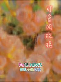可食用玫瑰几月份开花