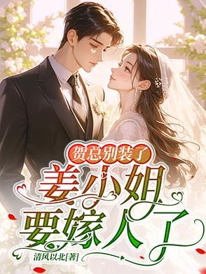 贺总和小贺总电视剧