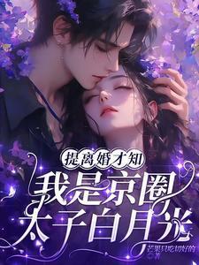 提离婚才知我是京圈太子白月光