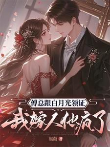 我嫁人他疯了 星茴 / 著