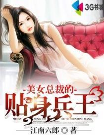 美女总裁的贴身兵王段飞