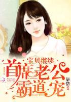 首席老公霸道宠宝贝继续童颜