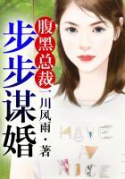 腹黑老公傲娇妻