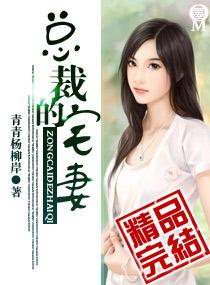 总裁的夜妻全文免费阅读