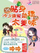 免费阅读冷少的替身妻